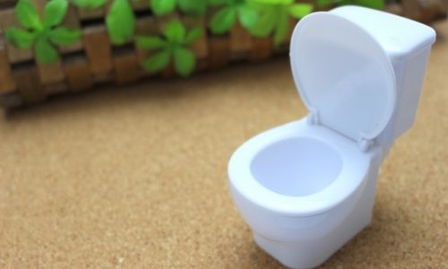 ディズニーの待ち時間にトイレに行きたい！アトラクションやパレードは？