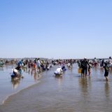 海の公園　潮干狩り　駐車場