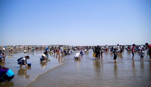 海の公園で潮干狩り！駐車場で近いのは？潮見表でベスト日を探す！