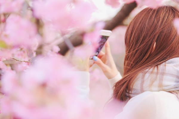 インスタ