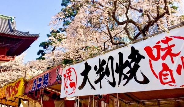 深谷桜まつり　駐車場