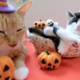 ハロウィン　仮装　子供